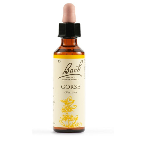 GORSE BACH ORIGINA 20ML