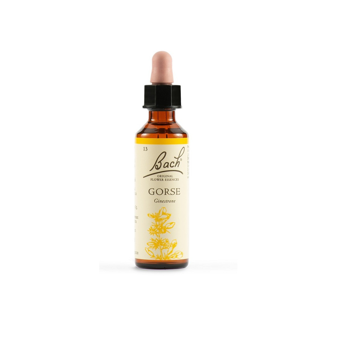 GORSE BACH ORIG 20ML