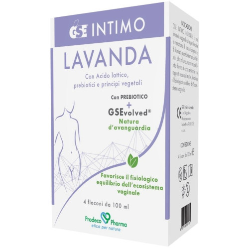 GSE INTIME LAVANDA 4FL