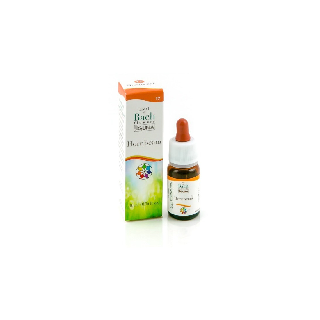 HORNBEAM GUN GTT 10ML