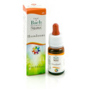 HORNBEAM GUN GTT 10ML