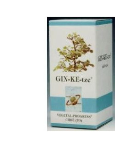 GINKETZE BIO 80TAV 600MG
