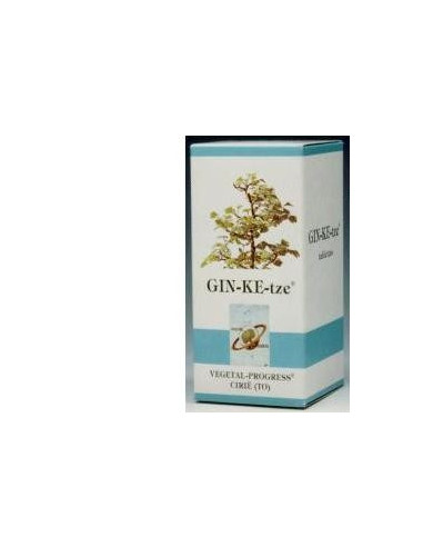 GINKETZE BIO 80TAV 600MG