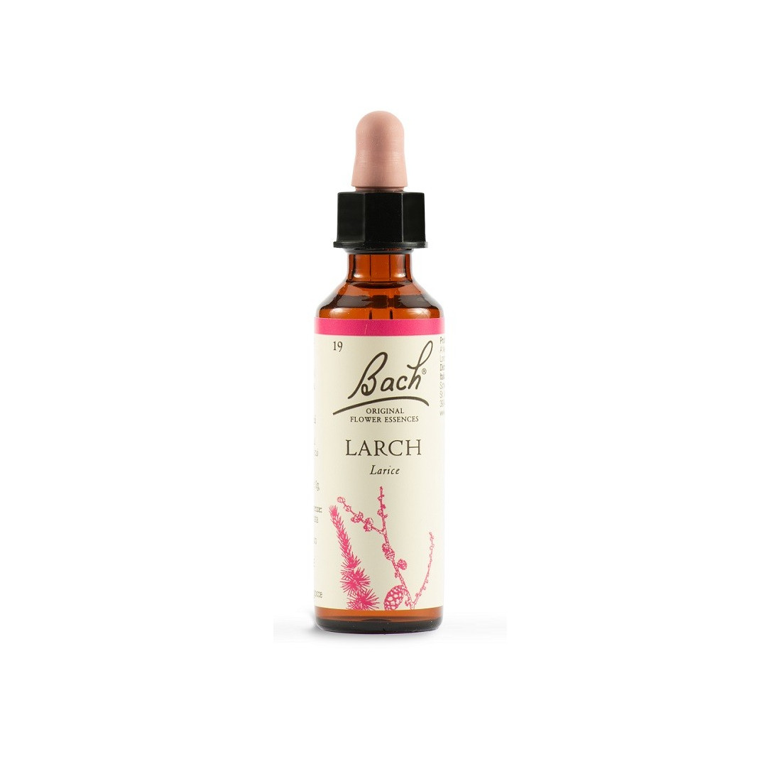LARCH BACH ORIG 20ML