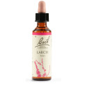 LARCH BACH ORIGINA 20ML