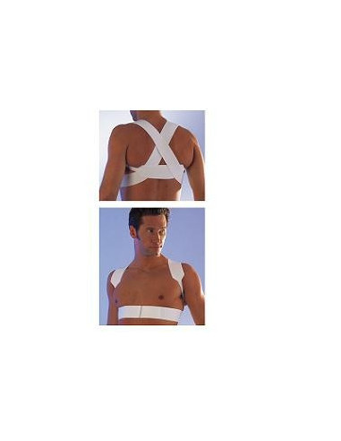 SCUDOTEX RADDRIZZASP INC 5