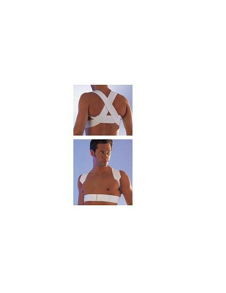 SCUDOTEX RADDRIZZASP INC 5