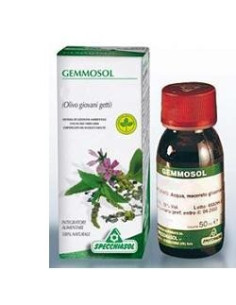 GEMMOSOL 28 OLIVO 50ML