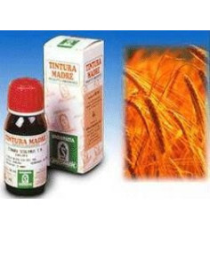 AVENA SATIVA 3 50ML TM
