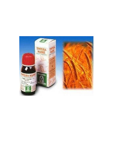 AVENA SATIVA 3 50ML TM