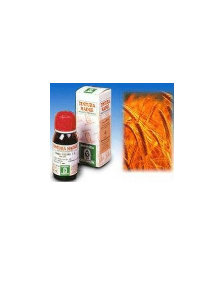 AVENA SATIVA 3 50ML TM