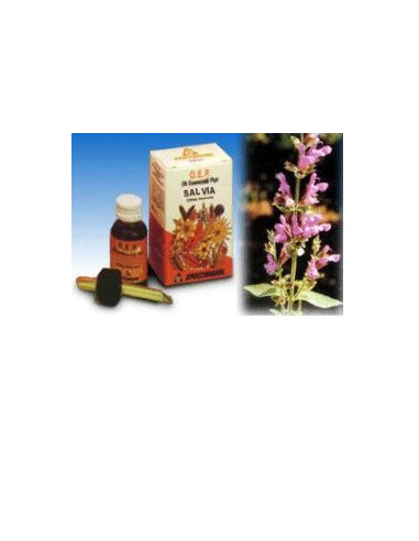 SALVIA FOGLIE OE PURO 10ML