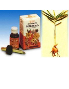 ZENZERO OE PURO 10ML