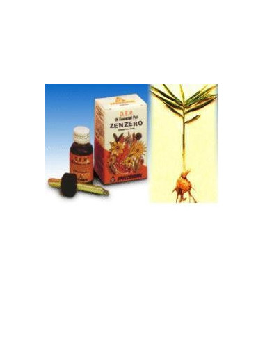 ZENZERO OE PURO 10ML