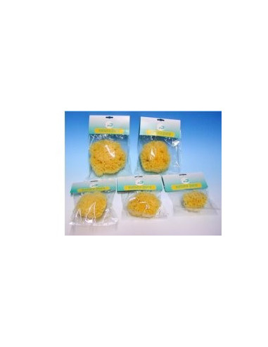 NATURA PURA SPUGNA NAT 16 BUST