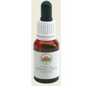 OAK AUSTRALIAN 15ML GTT