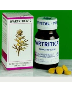 IVARTRITICA 2 80TAV