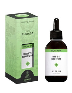 RIBES NERO ASTRUM RUGIADA 50ML