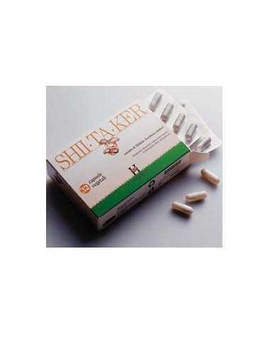 SHIITAKER HOLISTICA 100CPS