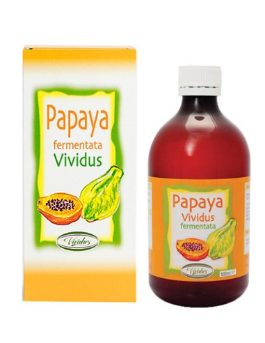 PAPAYA FERMENTATA 500ML