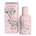 FRAGRANCE OF 50 ML