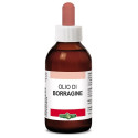 OIL BORRAGINE 30ML