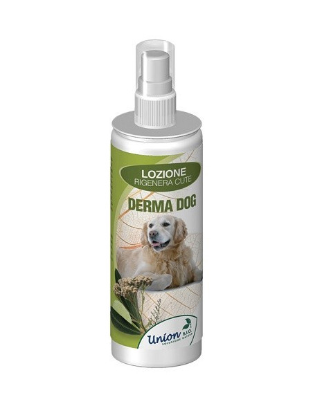 DERMA DOG LOZ RIGEN CUTE 125ML
