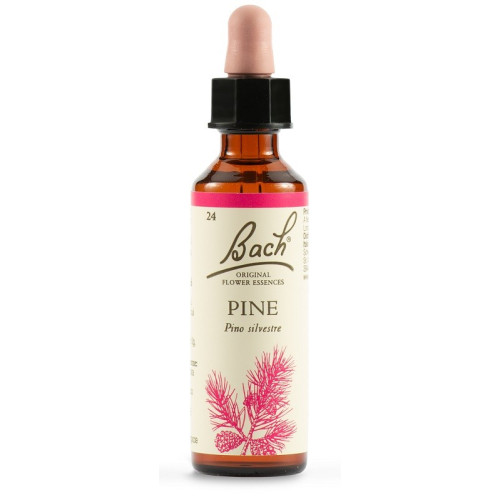 PINE BACH ORIGIN 20ML