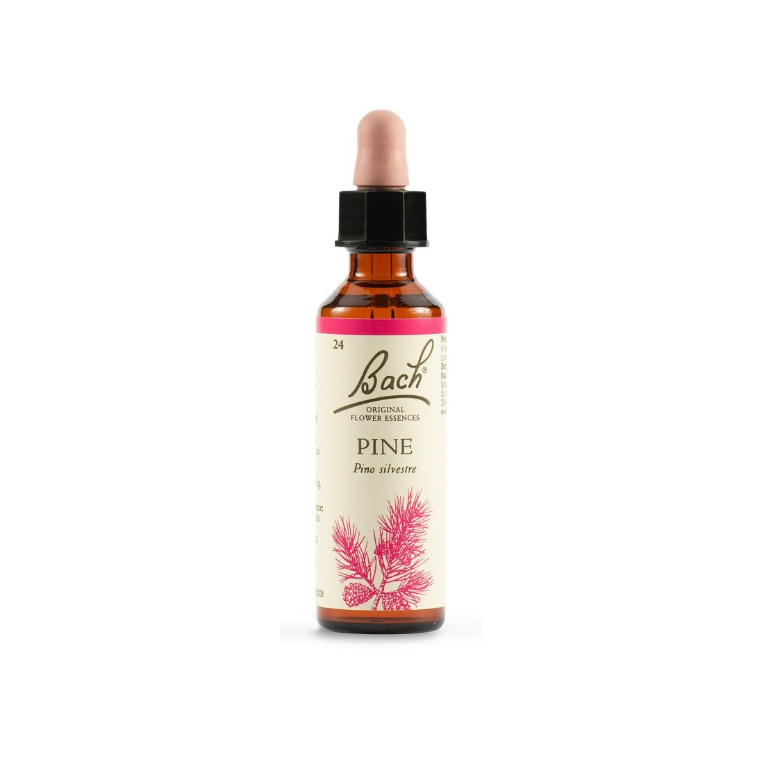 PINE BACH ORIG 20ML