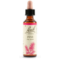 PINE BACH ORIG 20ML