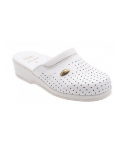 CLOG BACK GUARD BYCAST BI 36