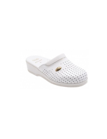 CLOG BACK GUARD BYCAST BI 36