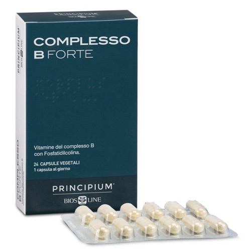 PRINCIPIUM FT24CPS