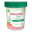 PSYLLOGEL FIBRA POMP ROSA 170G