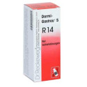 RECKEWEG R14