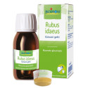 RUBUS IDAEUS BOI MG 60ML