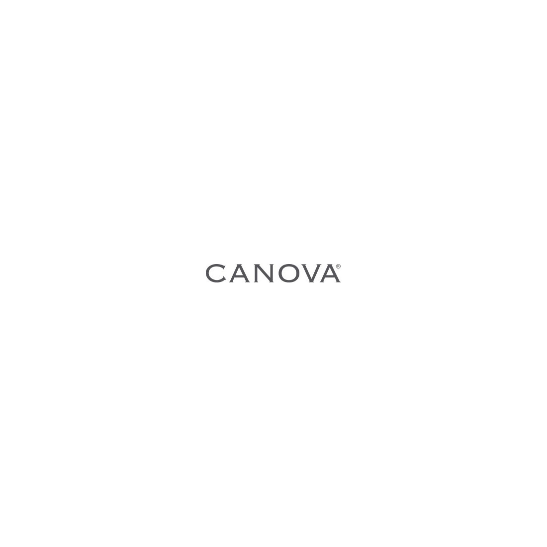 SALIPIL SPRAY CANOVA 100ML
