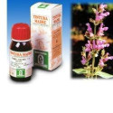 SAGE 25 50ML TM