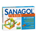 SANAGOL TUSSIS ARANCIA 24CAR