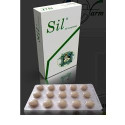 SIL SILIMARINA+VITAMIN AND 450G
