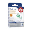 C PIC IT 'S A DELICATE 19X72MM 20PZ