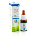 STAR OF BETH GUN GTT 10ML
