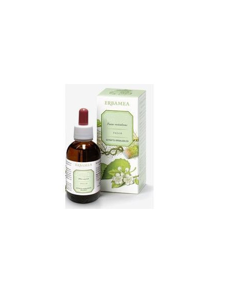 GINKGO BILOBA FOGLIE EI 50ML