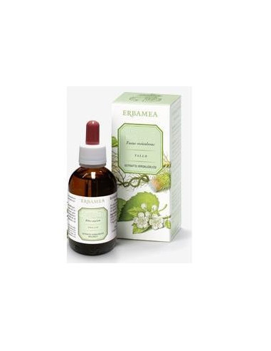 SALVIA SOMMITA' EI 50ML