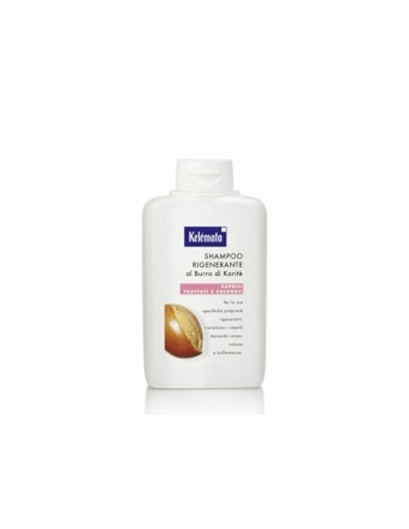 SHAMPOO RIGEN BURRO KARIT250ML