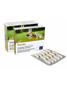 ARTOSALUS ORME NAT 60CPR