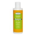 TEA TREE SHAMPOO ANTIFORF200ML