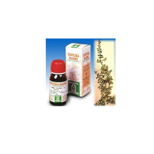 UV URSINA 30 50ML TM