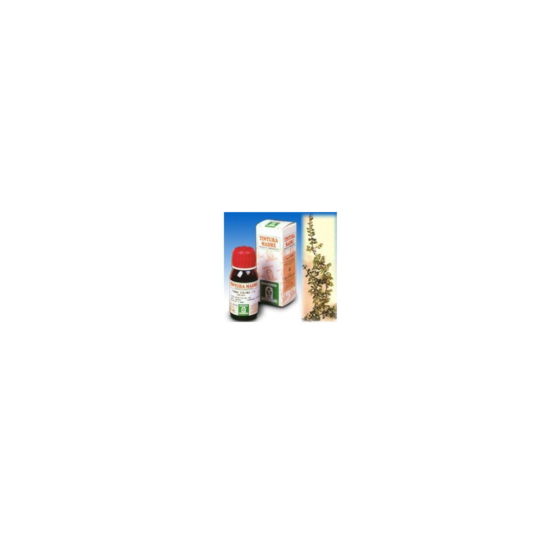 UVA URSINA 30 50ML TM