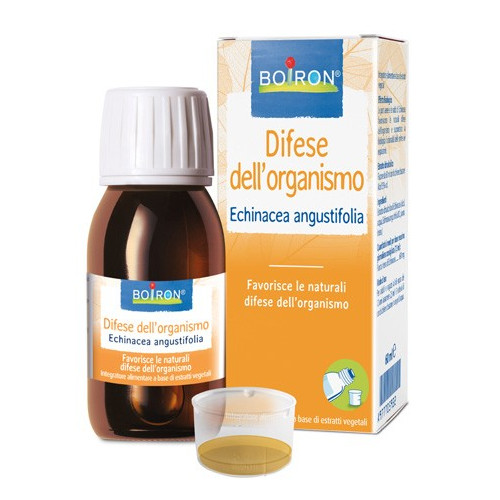 ECHINACEA ANG BOI EI 60ML INT